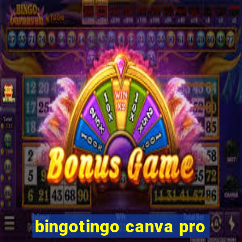 bingotingo canva pro